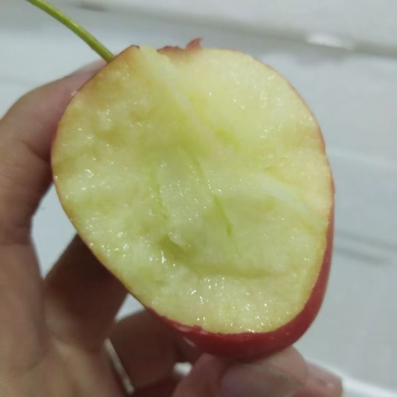 东北鸡心果！香槟小苹果！海棠果大量现货欢迎合作共赢