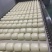 【馒头】刀切方馒头货源充足量大从优质量保证欢迎咨询