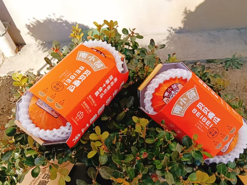 南小萌红贝中四盒一。
