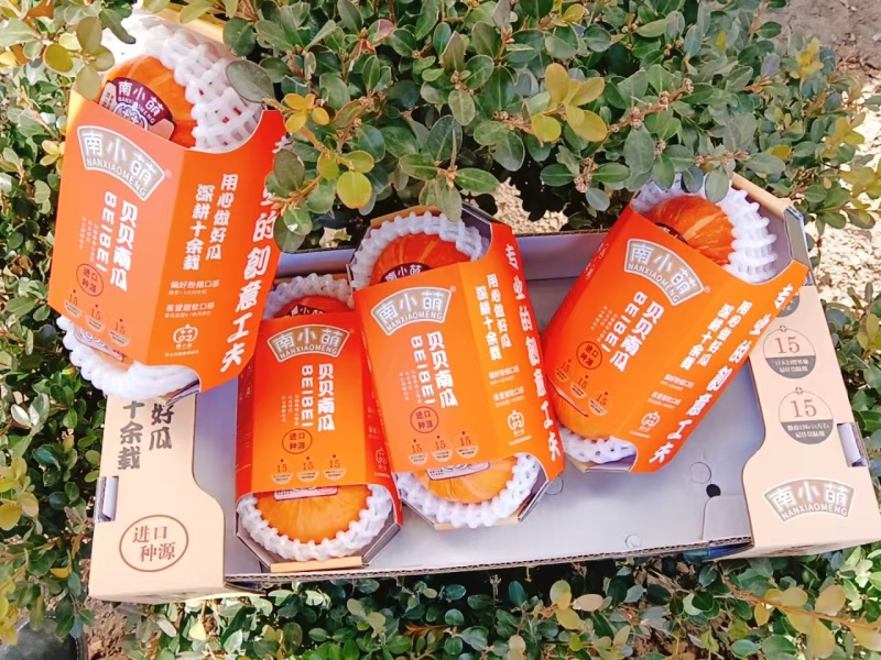南小萌红贝中四盒一。