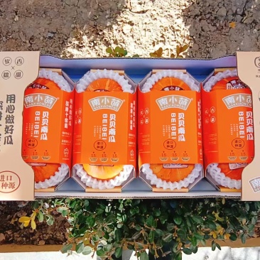 南小萌红贝中四盒一。