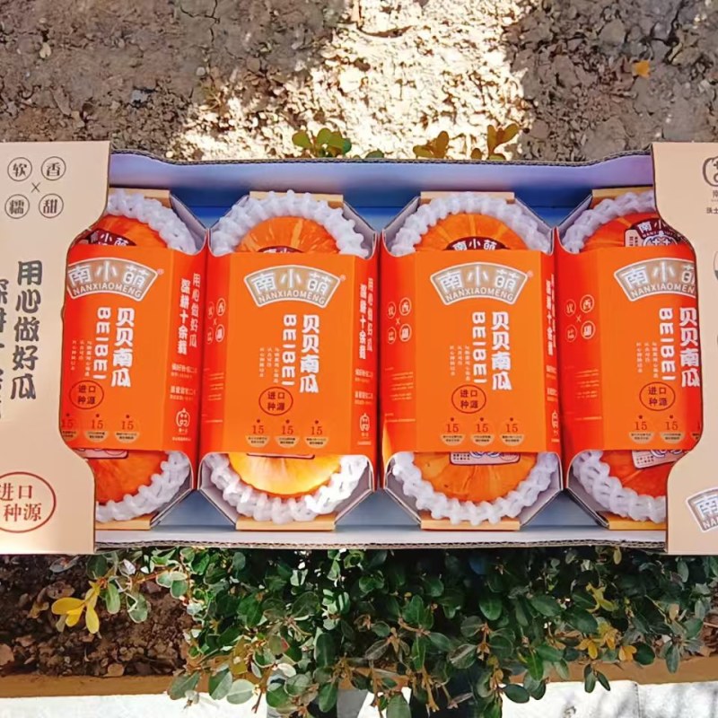 南小萌红贝中四盒一。