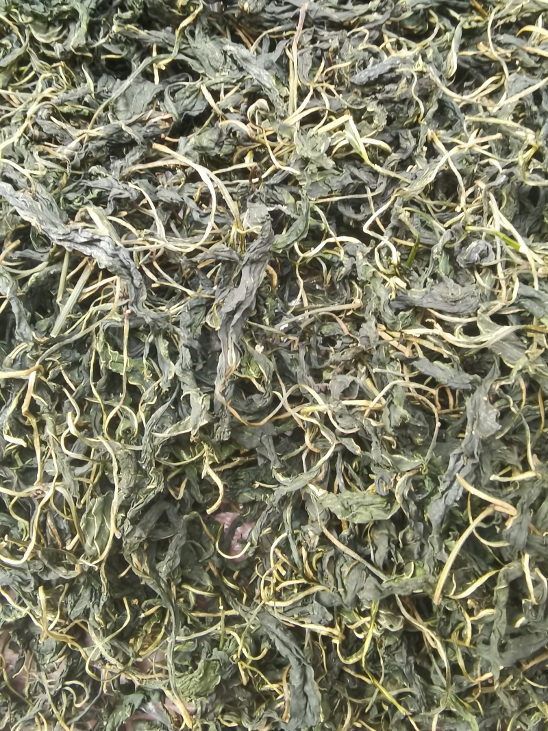 干辣椒叶