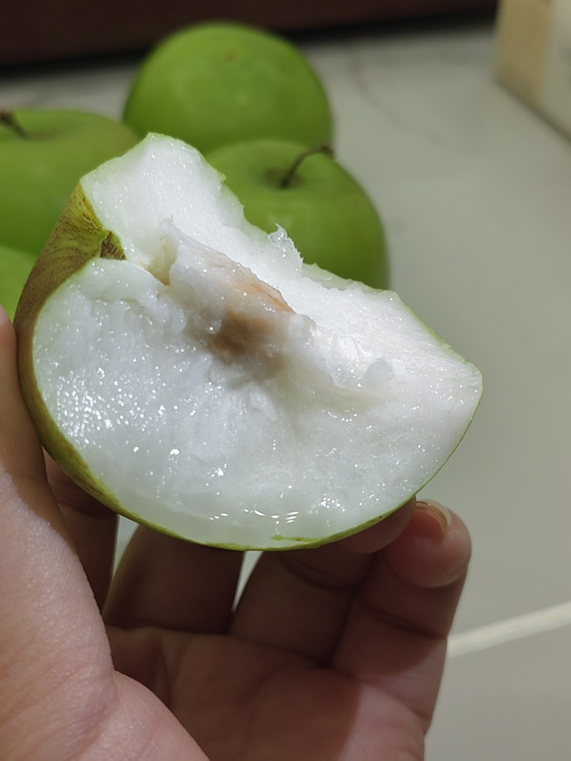 西双版纳苹果枣