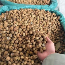 香砂，足干，颜色好（下单前先联系卖家）