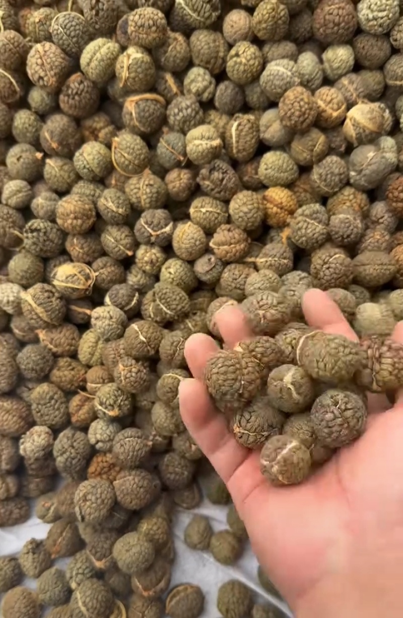 草蔻精品饮片厂专用（下单前先联系卖家）