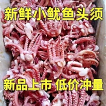 包邮）小鱿鱼须新鲜冷冻鱿鱼头小八爪须烧烤餐饮食材批发净重