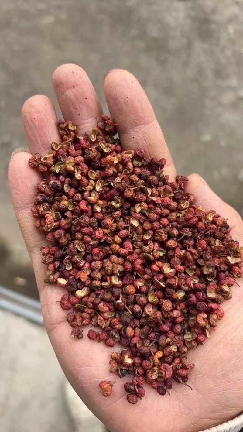 红花椒青花椒（下单前先联系卖家）