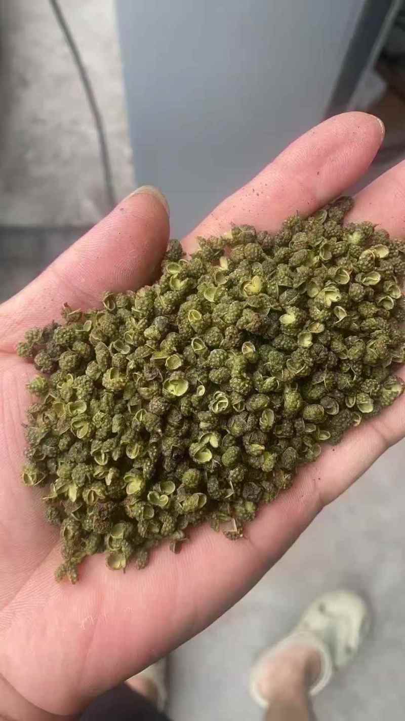 红花椒青花椒（下单前先联系卖家）