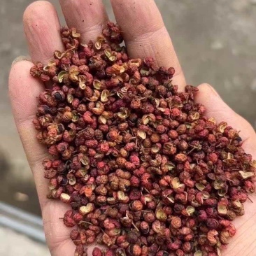红花椒青花椒（下单前先联系卖家）