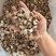 阳春大沙姜，厚片无硫足干货（下单前先联系卖家）