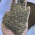 孜然干度好（下单前先联系卖家）