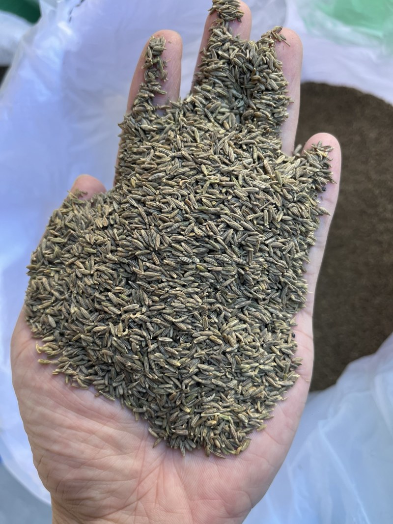 孜然干度好（下单前先联系卖家）