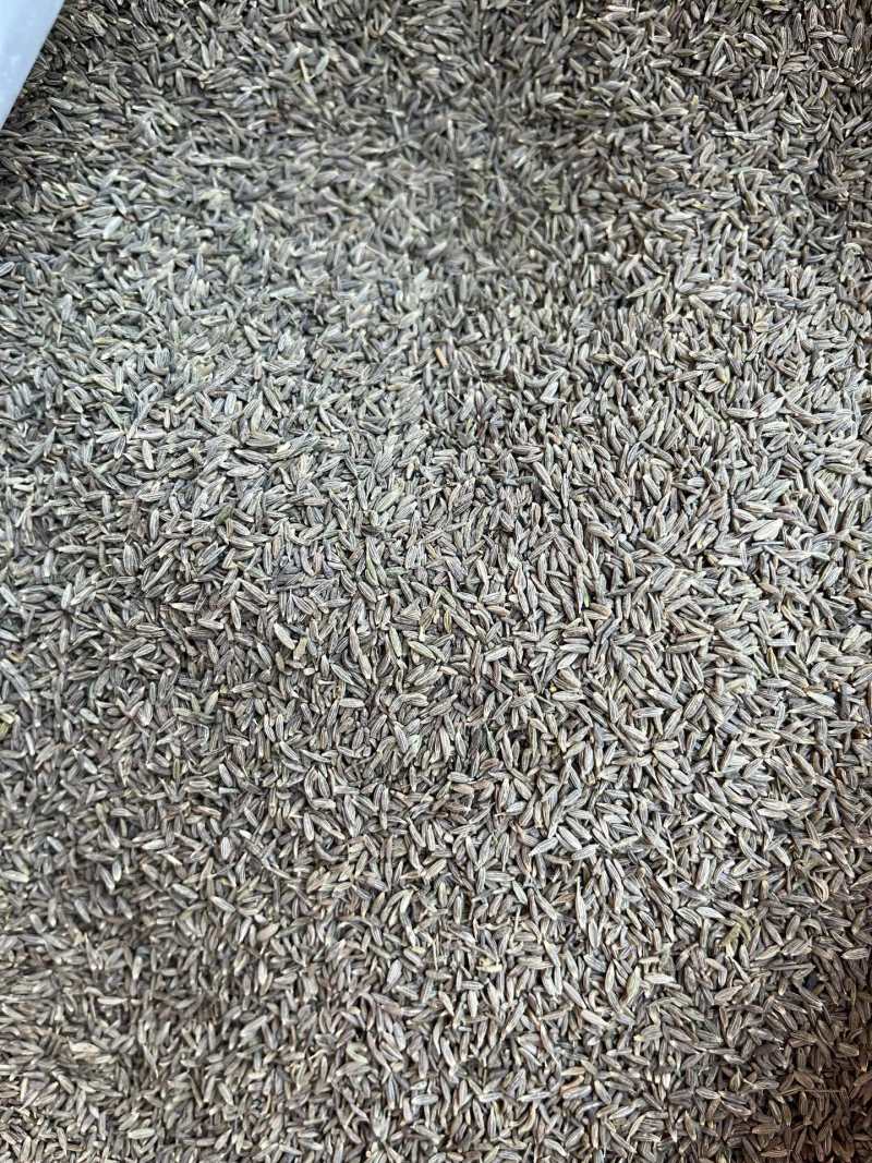 孜然干度好（下单前先联系卖家）