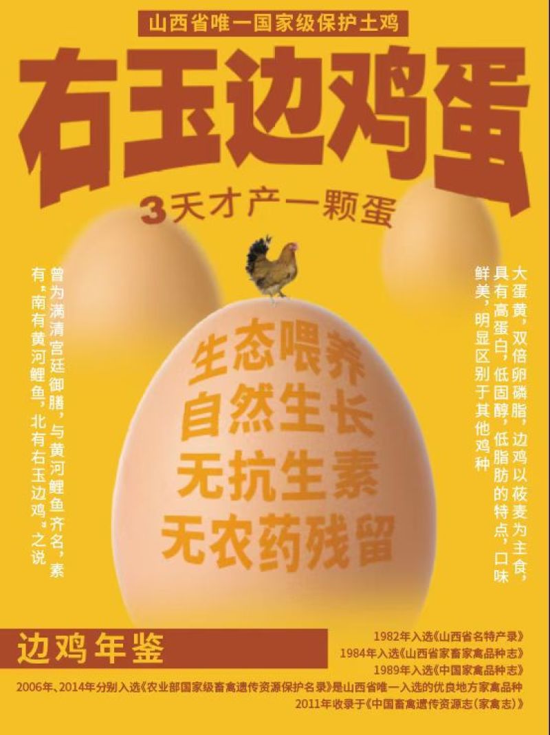 右玉边鸡蛋，***种质资源，