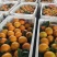 爱媛38果冻橙四川眉山产区脐橙货源稳定代发全国