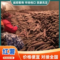 秦五板栗红薯/板栗薯/产区直发/大量现货