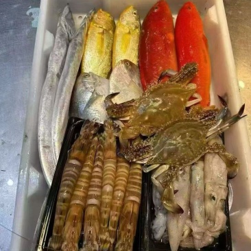 精品海鲜大礼包，来自东海的美味馈赠。各种鲜到眉毛的小海鲜