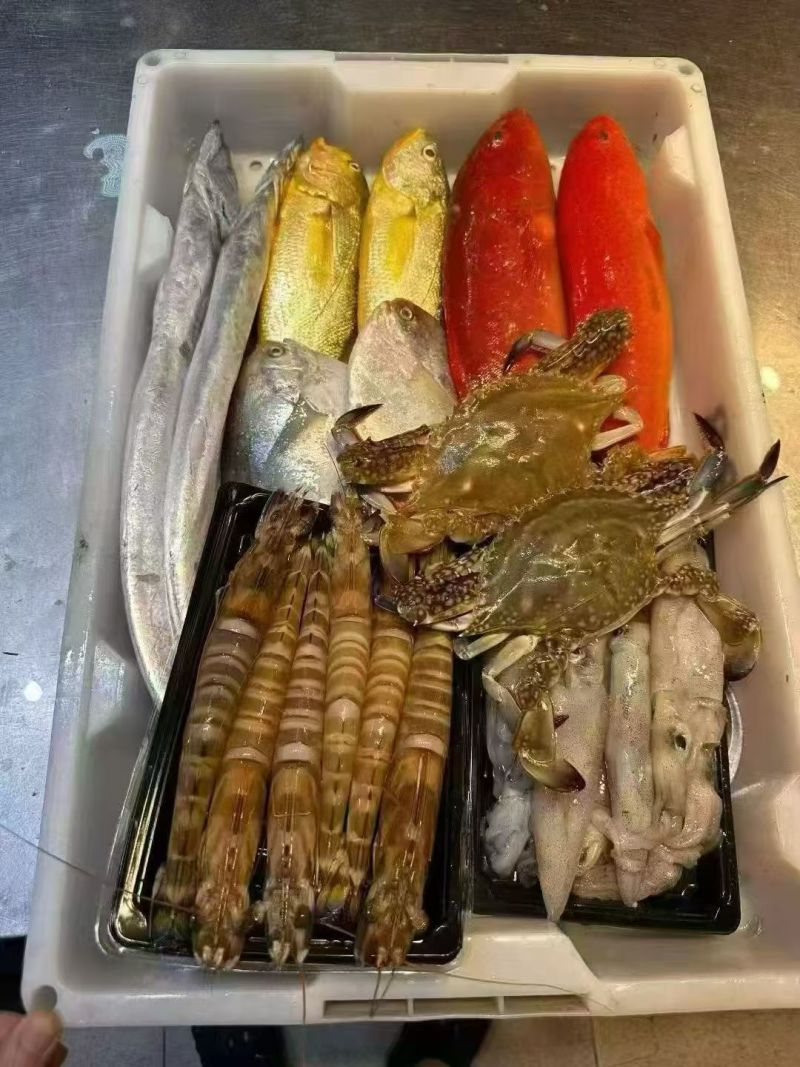 精品海鲜大礼包，来自东海的美味馈赠。各种鲜到眉毛的小海鲜