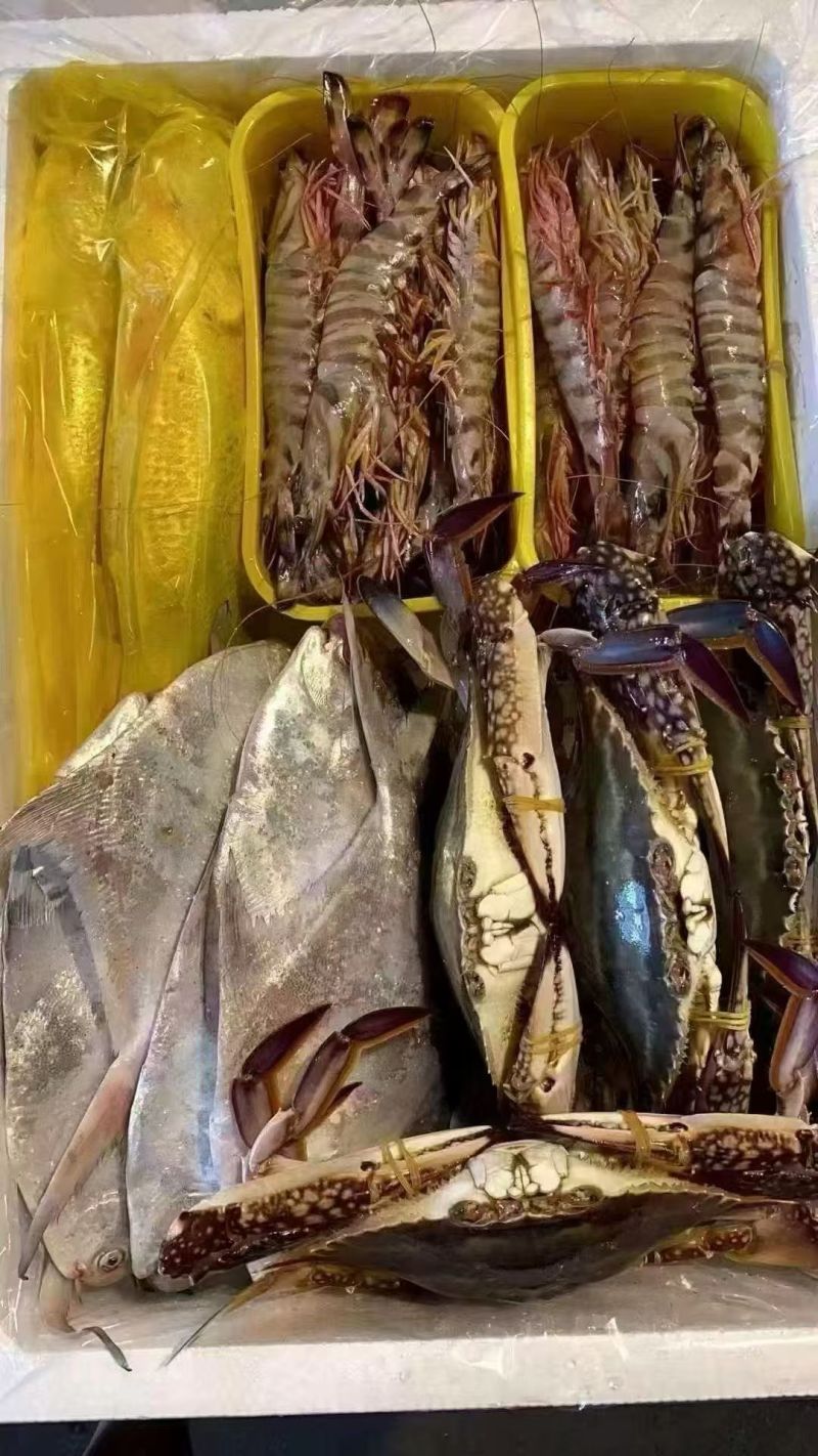 精品海鲜大礼包，来自东海的美味馈赠。各种鲜到眉毛的小海鲜
