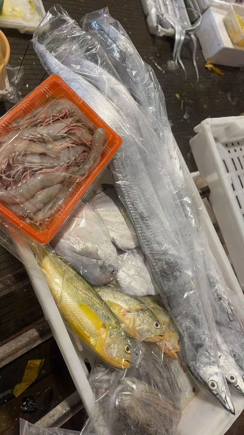 精品海鲜大礼包，来自东海的美味馈赠。各种鲜到眉毛的小海鲜