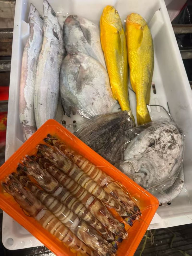 精品海鲜大礼包，来自东海的美味馈赠。各种鲜到眉毛的小海鲜