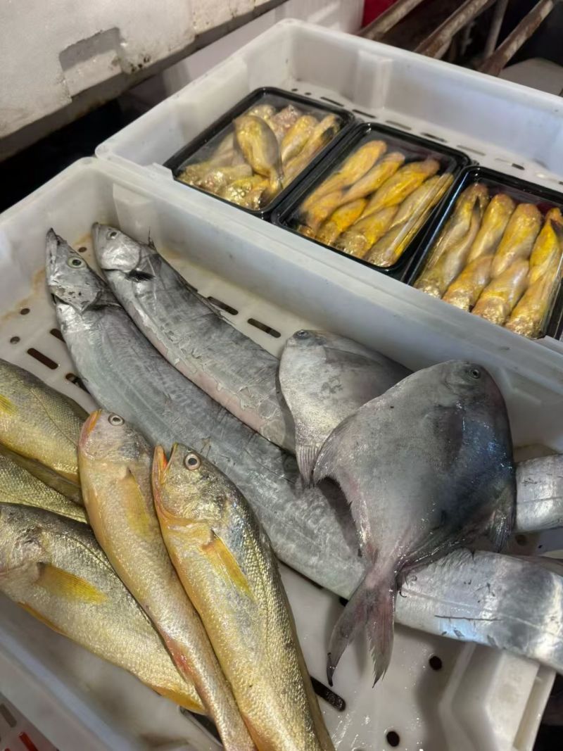 精品海鲜大礼包，来自东海的美味馈赠。各种鲜到眉毛的小海鲜