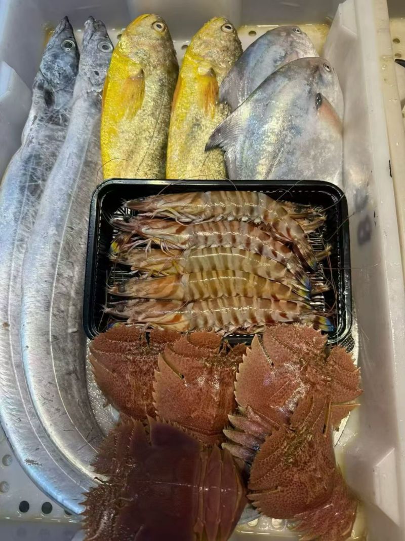 精品海鲜大礼包，来自东海的美味馈赠。各种鲜到眉毛的小海鲜