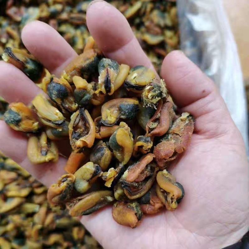 淡菜1公斤壳菜海虹红锣仔