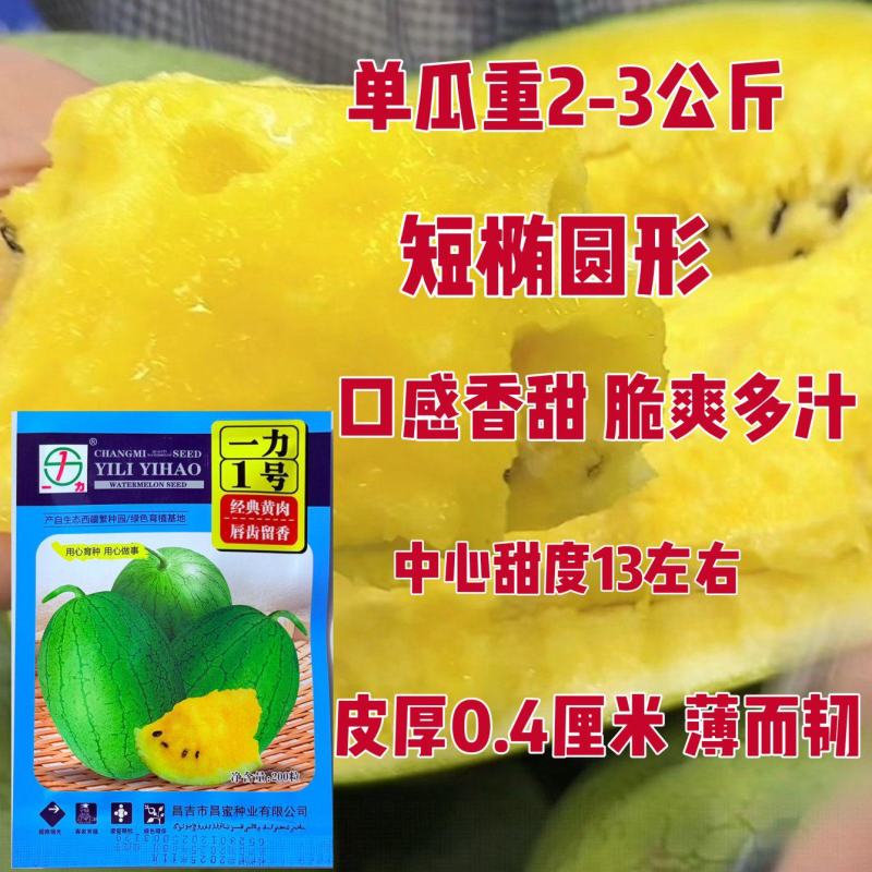 黄壤西瓜种子昌蜜一力1号礼品西瓜种子薄皮香甜黄瓤西瓜