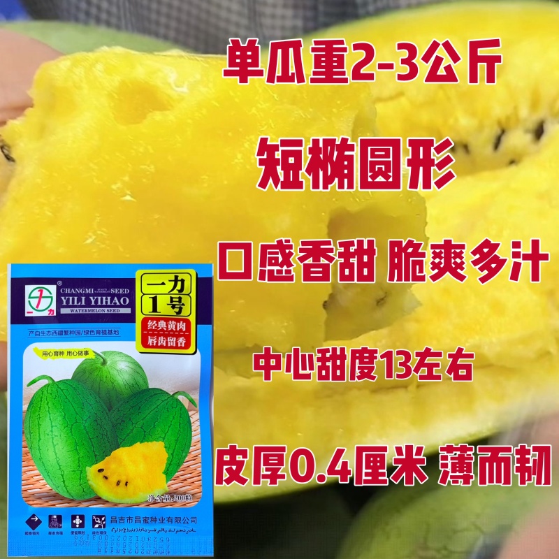 黄壤西瓜种子昌蜜一力1号礼品西瓜种子薄皮香甜黄瓤西瓜