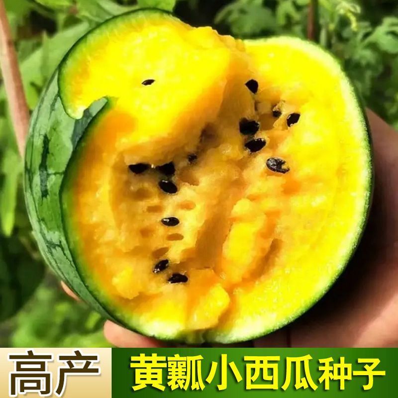 黄壤西瓜种子昌蜜一力1号礼品西瓜种子薄皮香甜黄瓤西瓜