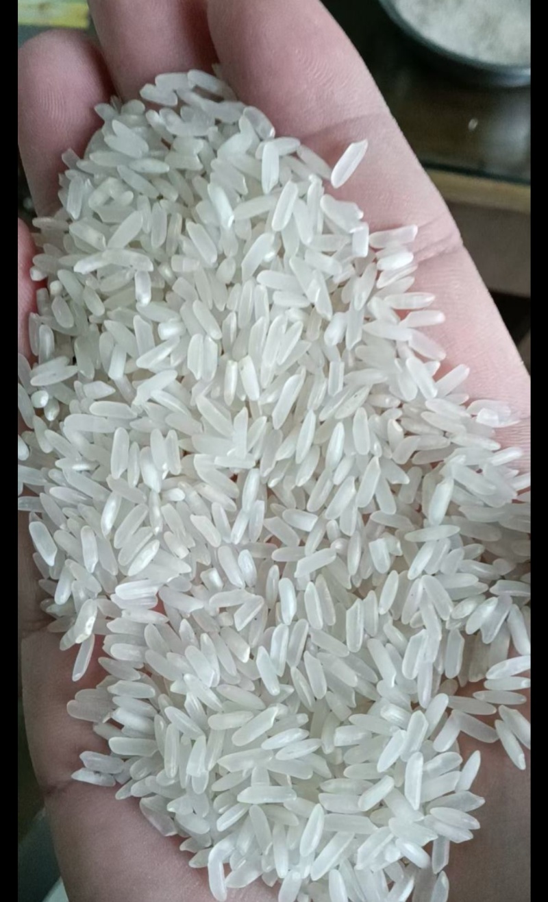 信阳大米