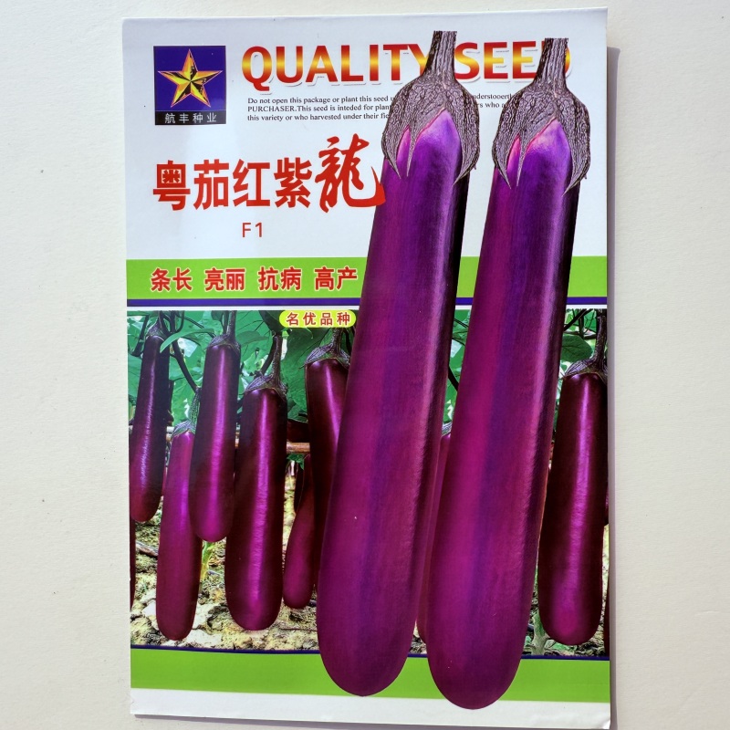 紫红茄子种子广东粤茄红紫龙茄子种子紫红长茄种子