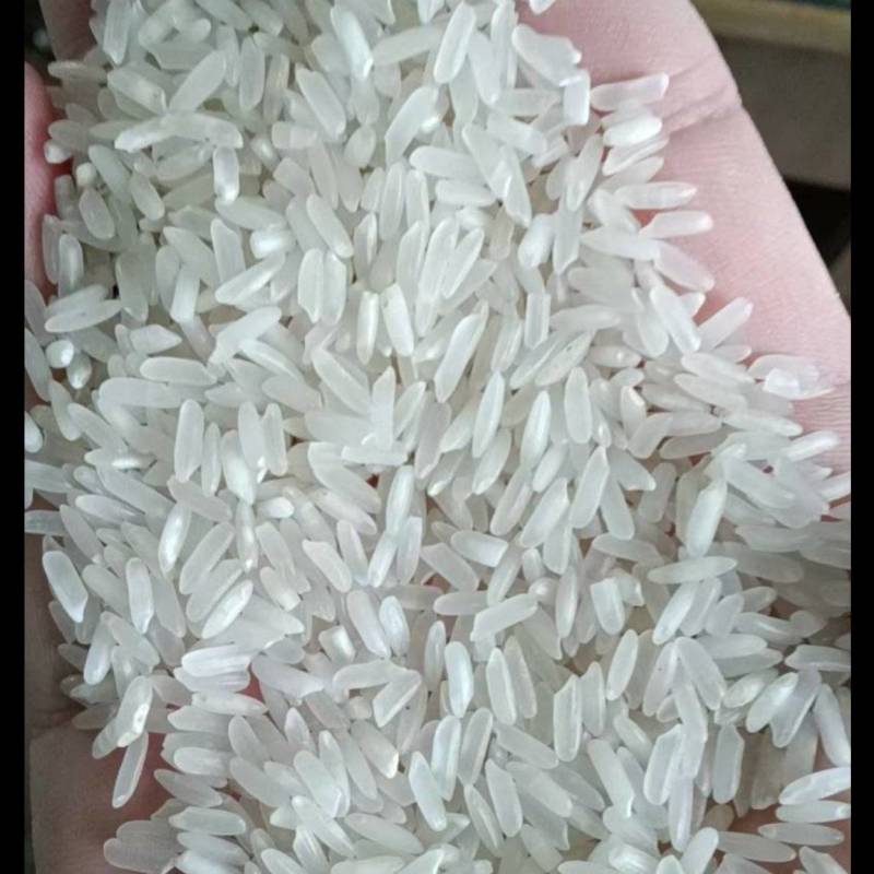 信阳大米