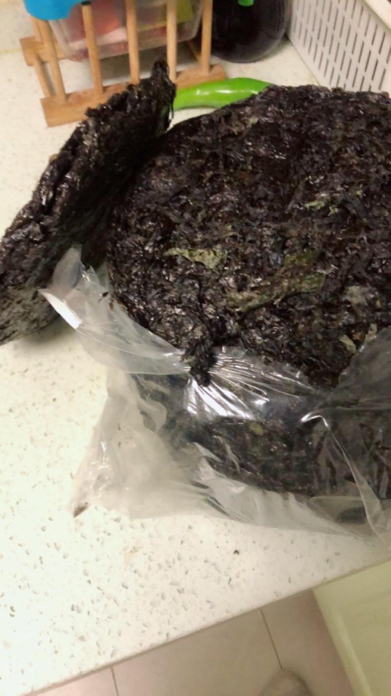 今年头水紫菜量大价优厂家直销欢迎实地考察