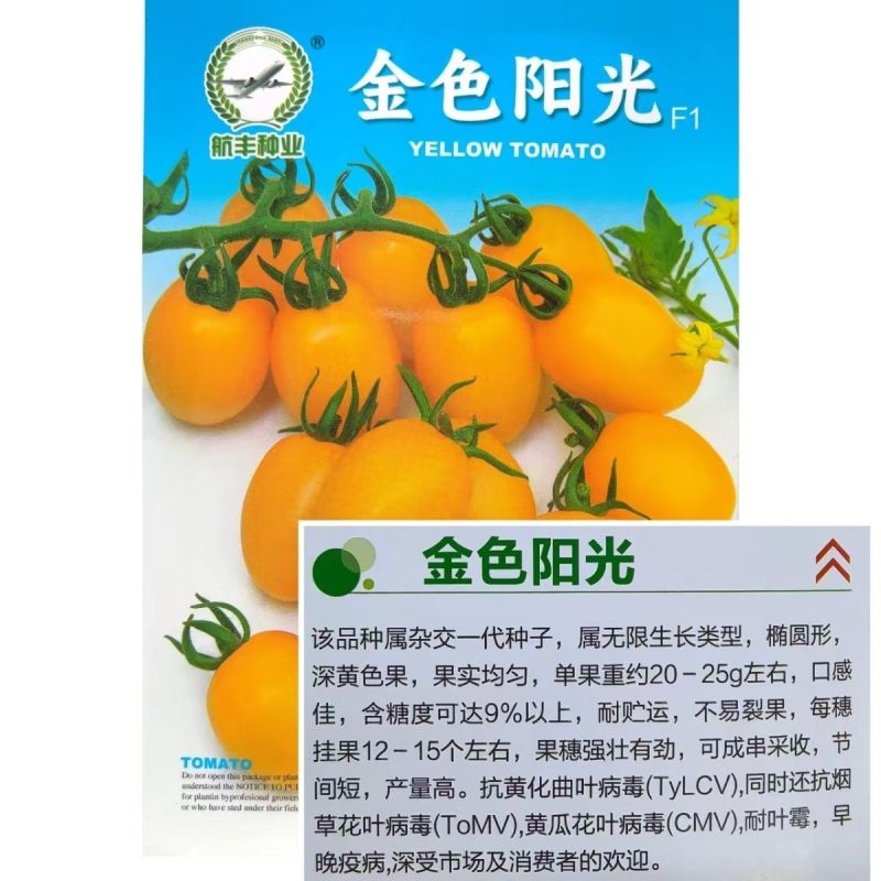 高产番茄种子金色阳光番茄无限生长椭圆形黄色小番茄种子