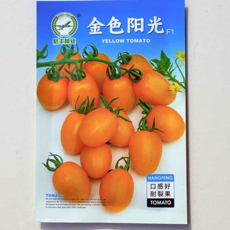高产番茄种子金色阳光番茄无限生长椭圆形黄色小番茄种子