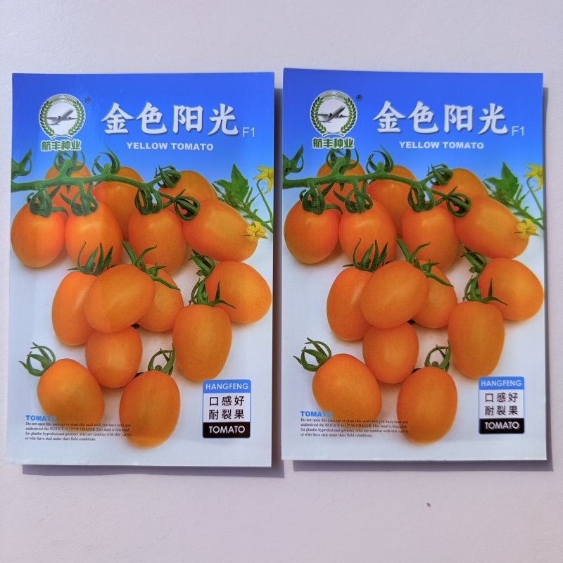 高产番茄种子金色阳光番茄无限生长椭圆形黄色小番茄种子