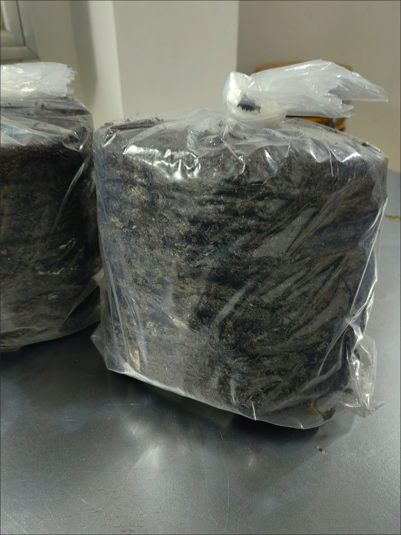 生产工厂直发，紫菜，全国销售发货，欢迎进店沟通。