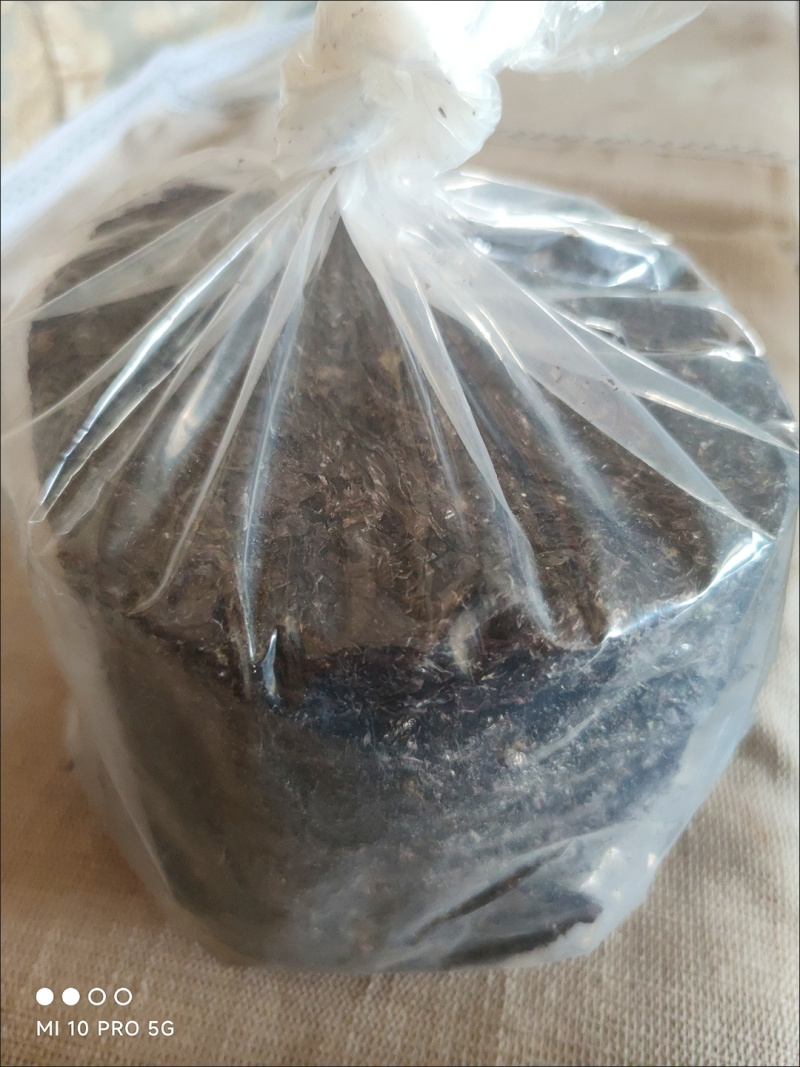 头水紫菜全国销售，全国发货，欢迎来沟通。