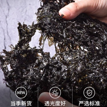 紫菜厂家产地直发，干净卫生，全国发货。