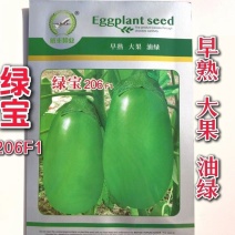 绿罐茄子种绿宝206绿茄种籽绿皮绿肉灯泡牛心茄子种