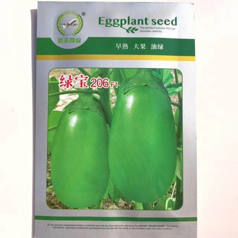 绿罐茄子种绿宝206绿茄种籽绿皮绿肉灯泡牛心茄子种