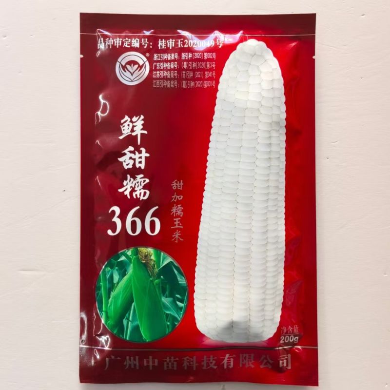 白甜糯玉米种子中苗鲜甜糯366玉米种甜加糯玉米种子基地用