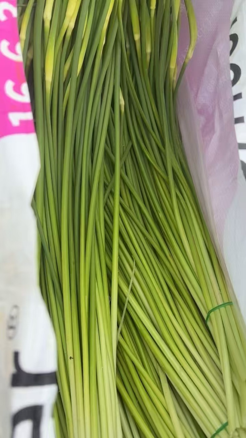 蒜苔
