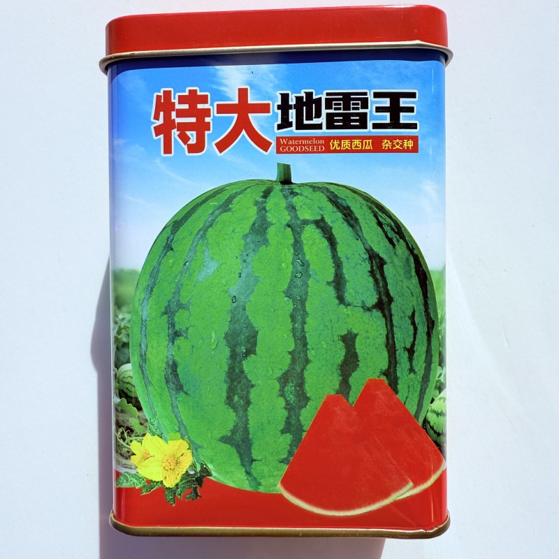 西瓜种子特大地雷王早中熟西瓜品种抗病抗裂耐重茬大红瓤种