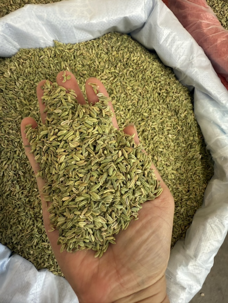 【包邮】甘肃新货小茴香炖肉卤肉炒菜火锅撒料调味料