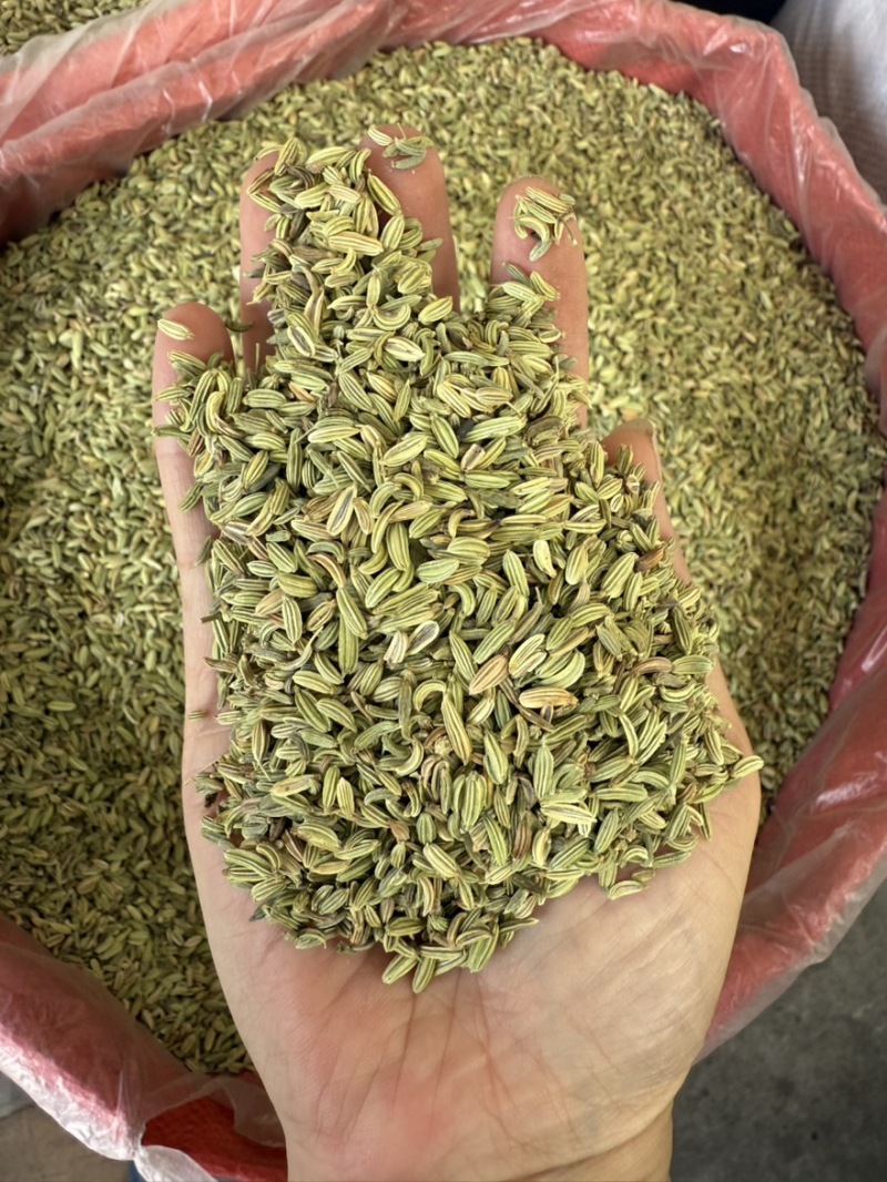 【包邮】甘肃新货小茴香炖肉卤肉炒菜火锅撒料调味料