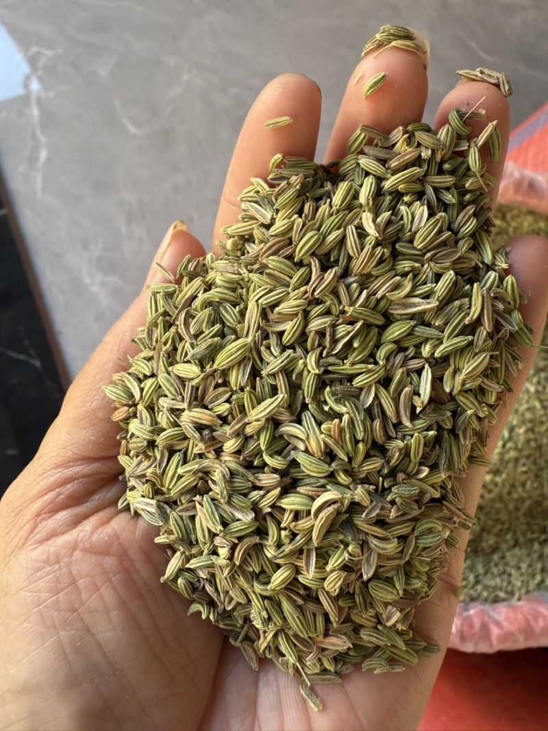 【包邮】甘肃新货小茴香炖肉卤肉炒菜火锅撒料调味料